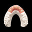SHERAprint-gingiva 2.0-38