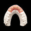 SHERAprint-gingiva 2.0-61
