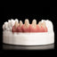 SHERAprint-gingiva 2.0-59